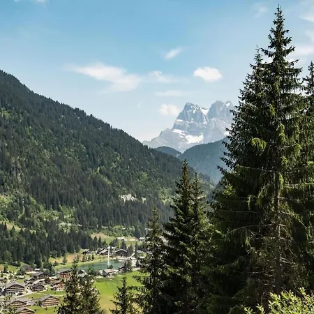 Only 50 M From The Slopes