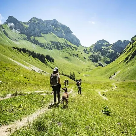 Only 50 M From The Slopes *