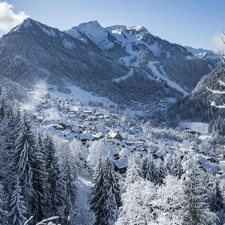 Only 50 M From The Slopes Chatel