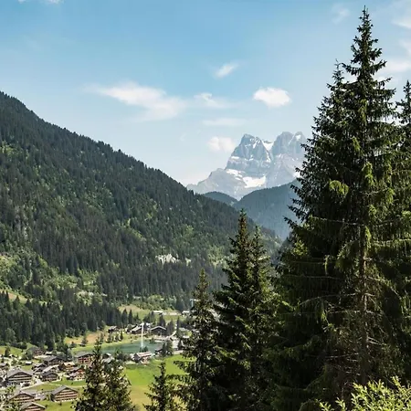 Only 50 M From The Slopes *