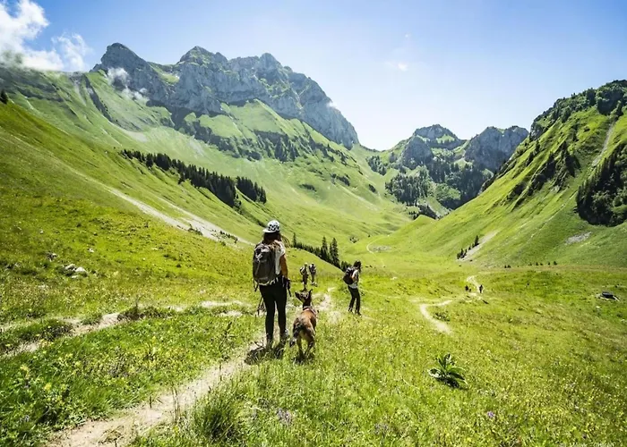 Only 50 M From The Slopes *