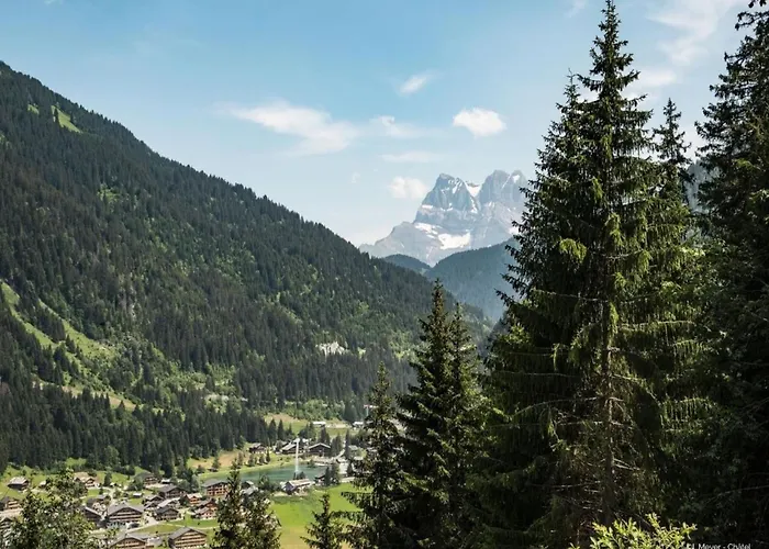 Only 50 M From The Slopes