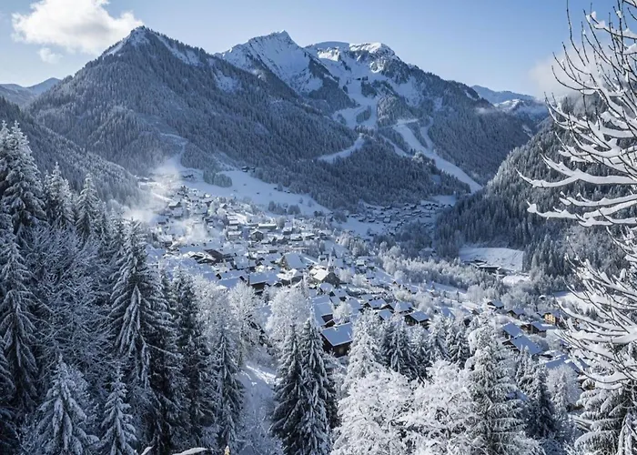 Only 50 M From The Slopes Châtel